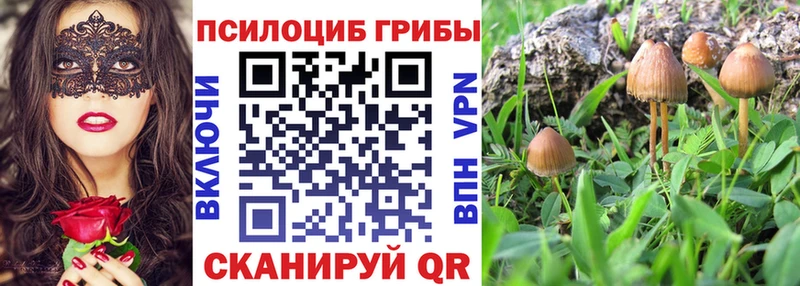 Галлюциногенные грибы MAGIC MUSHROOMS  Купить закладки  Лихославль 